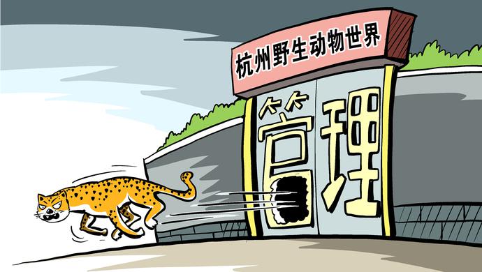 【&ldquo;金錢豹事件&rdquo;責(zé)任人宣判】杭州&ldquo;金錢豹外逃事件&rdquo;相關(guān)責(zé)任人被一審宣判