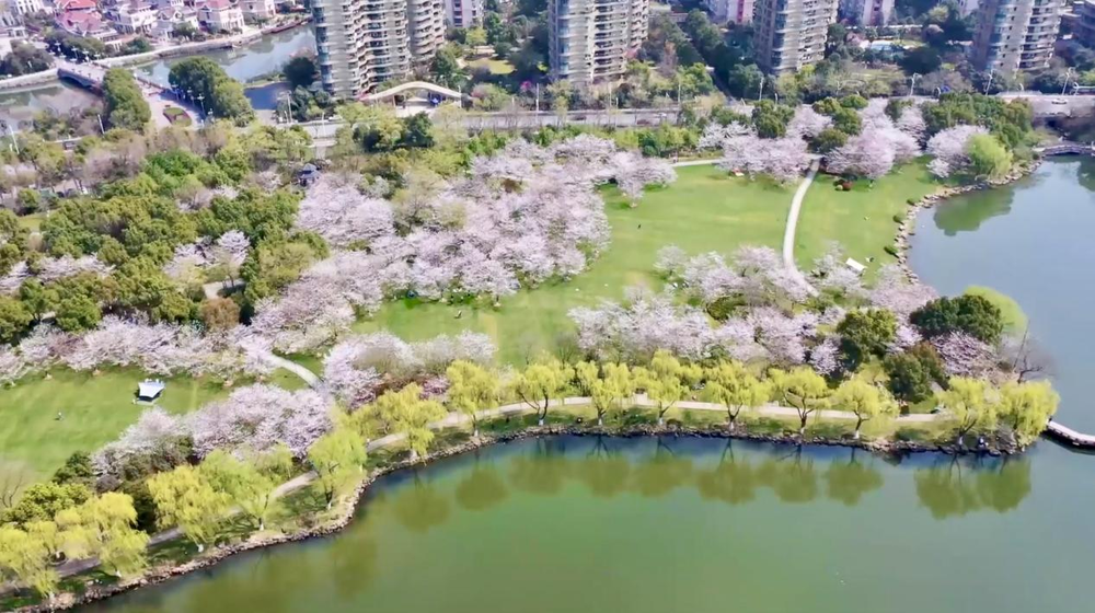 紹興柯橋：春日瓜渚湖 步步皆風景
