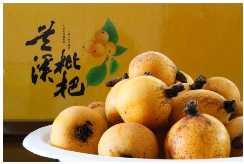 浙江蘭溪：&ldquo;觸網(wǎng)&rdquo;枇杷、&ldquo;科技&rdquo;楊梅成為農(nóng)民&ldquo;共富果&rdquo;