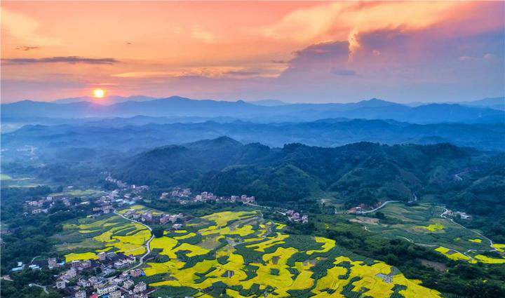 振興之花落于鄉(xiāng)鎮(zhèn)，發(fā)展之路始于厚土