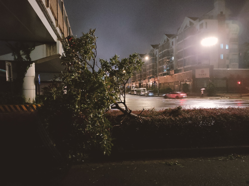 臺(tái)風(fēng)&ldquo;梅花&rdquo;登陸浙江舟山普陀
