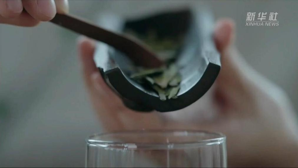 大美非遺｜茶香何出？探訪西湖龍井茶人