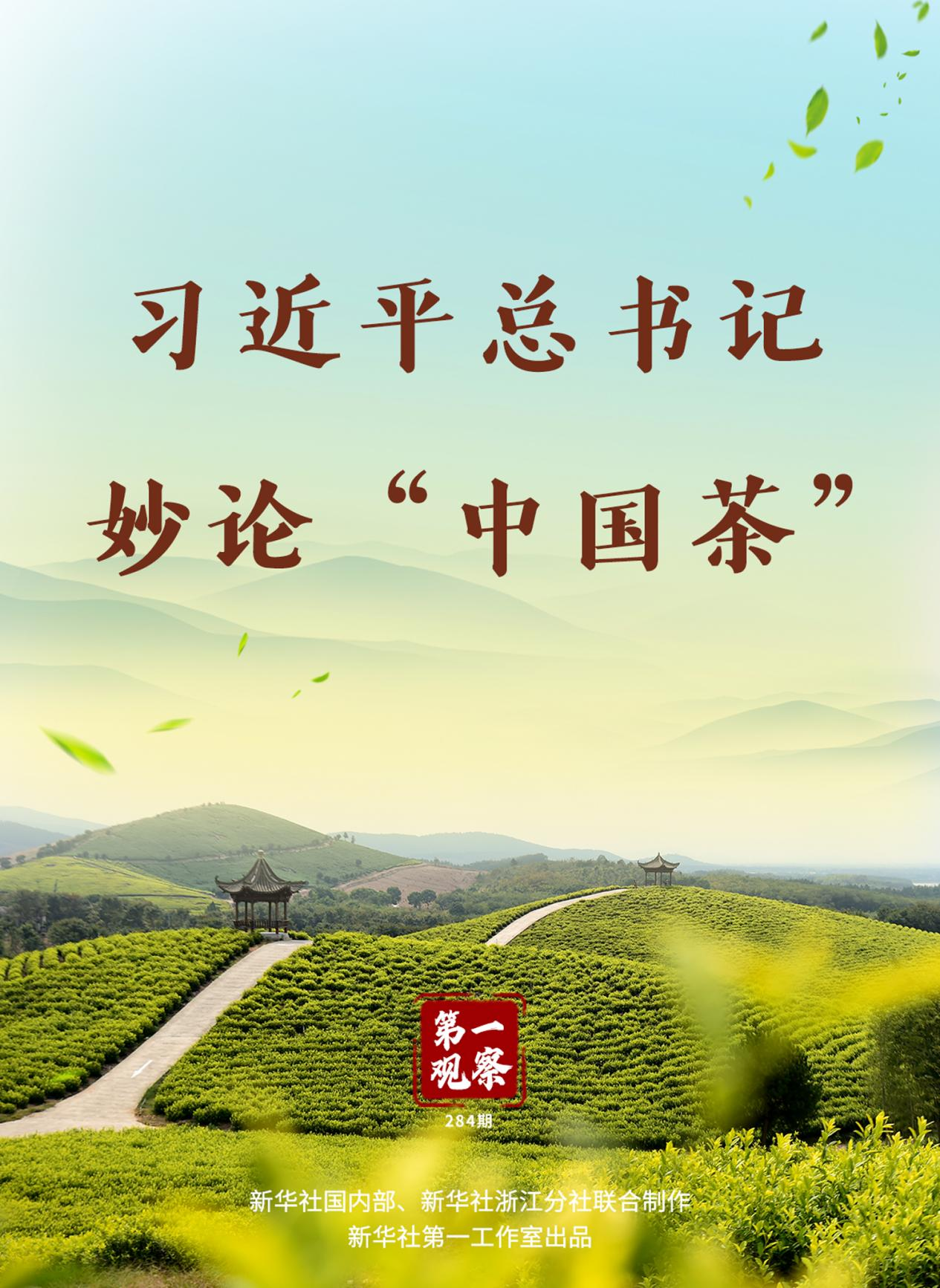 習近平總書記妙論&ldquo;中國茶&rdquo;