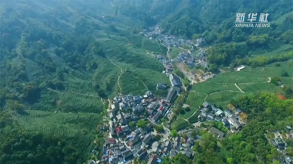 春風(fēng)徐來，經(jīng)濟(jì)回暖