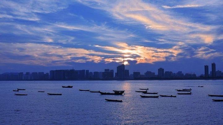 沿著茶香，尋浙溫暖