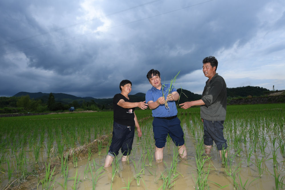 聽(tīng)，田野里動(dòng)人的科技之歌&mdash;&mdash;科技特派員制度浙江20年實(shí)踐紀(jì)實(shí)